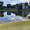 Weed, Algae & Silt Choked Ponds and Ditches