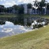 Weed, Algae & Silt Choked Ponds and Ditches