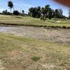 Weed, Algae & Silt Choked Ponds and Ditches