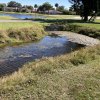 Weed, Algae & Silt Choked Ponds and Ditches