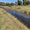 Weed, Algae & Silt Choked Ponds and Ditches