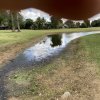 Weed, Algae & Silt Choked Ponds and Ditches