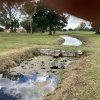 Weed, Algae & Silt Choked Ponds and Ditches