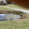 Weed, Algae & Silt Choked Ponds and Ditches