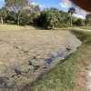 Weed, Algae & Silt Choked Ponds and Ditches