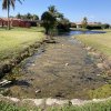 Weed, Algae & Silt Choked Ponds and Ditches