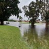 The Memorial Day Flood