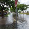 The Memorial Day Flood