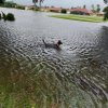 The Memorial Day Flood