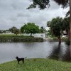 The Memorial Day Flood