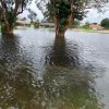 The Memorial Day Flood