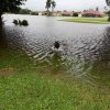 The Memorial Day Flood