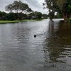 The Memorial Day Flood