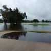 The Memorial Day Flood