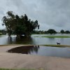 The Memorial Day Flood