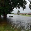 The Memorial Day Flood