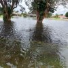 The Memorial Day Flood