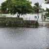 The Memorial Day Flood