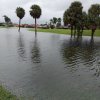 The Memorial Day Flood