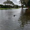 The Memorial Day Flood