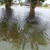 The Memorial Day Flood